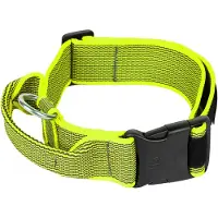 JULIUS K-9 Collar 50 Mm Hundehalsband