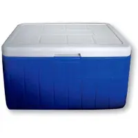 Lalizas Seacool 48l Steife Tragbare Kühlbox