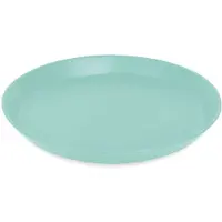 Koziol Speiseteller Connect 20.5 cm, 1 Stück,Grün, Material