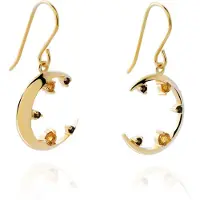 Orphelia 'Eline' Damen 925er Sterling Silber Tropfenohrringe - Gold ZO-7497/G