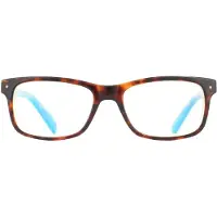 Polaroid Lunettes Unisexe Rectangulaires Havane