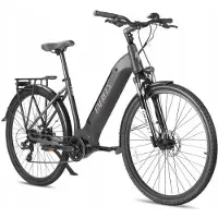 Fafrees E-Bike - - FM9 - 250W - 36V - Reichweite 120 km - Reifen 700C