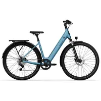 Tenways Elektrofahrrad CGO800 Plus