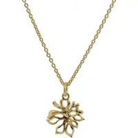 Orphelia Damen 925 Sterling Silber Kette mit Anhänger - Gold ZH-6027/2