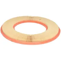 FILTRON Luftfilter AP027