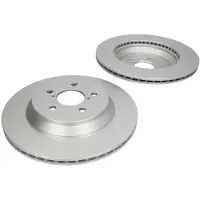 Delphi Bremsscheiben BG5005C hinten, belüftet, 2 Stück