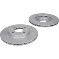 Delphi Bremsscheiben BG4049C vorne, belüftet, 2 Stück