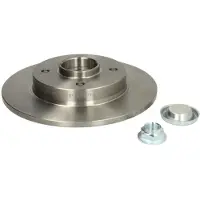 Delphi Bremsscheibe BG9021RS hinten, voll, 1 Stück