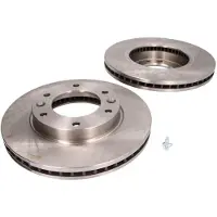 Delphi Bremsscheiben BG4137 vorne, belüftet, 2 Stück