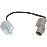 Delphi Klopfsensor AS10252 für SUZUKI SWIFT III (MZ, EZ)