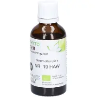 PhytoAustria Phytogem NR 19 Harnwege 40 ml Tropfen zum Einnehmen