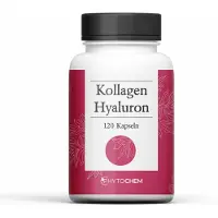 Phytochem Nutrition Ug (Haftungsbeschrän Phytochem Kollagen&Hyaluron Kapseln 120 St