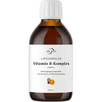 Dr. Selz liposomaler Vitamin-B Komplex 250 St Flüssigkeit zum Einnehmen