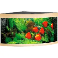 Gebr. De Boon Trigon 350 LED helles Holz - Aquarium