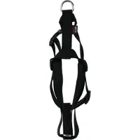 Martin Hondentuig Basic Nylon Zwart