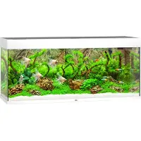 Juwel Rio 240 LED - Aquarium