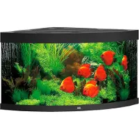 Gebr. De Boon Trigon 350 LED schwarz - Aquarium