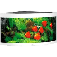 Gebr. De Boon Trigon 350 LED Aquarium Set weiß