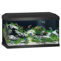 Juwel Aquarium Primo - Schwarz - 57 L