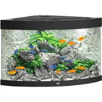 Gebr. De Boon Trigon 190 LED Aquarium Set schwarz
