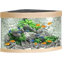 Gebr. De Boon Trigon 190 LED Aquarium Set helles Holz