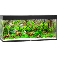 Juwel Rio 240 LED schwarz - Aquarium