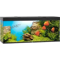 Gebr. De Boon Rio 450 LED schwarz - Aquarium
