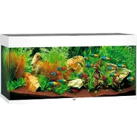 Juwel Rio 180 LED weiß - Aquarium