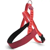 Morsö Norwegian Hondentuig Gerecycled Lipstick Roze