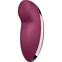 Satisfyer Tap & Climax 2 - 2in1 Klitorisstimulator & Vibrator (rot)