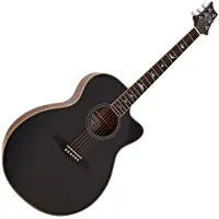 Paul Reed Smith PRS SE A20 Angelus schwarze Hochglanzdecke satinierte Rückseite (2026)