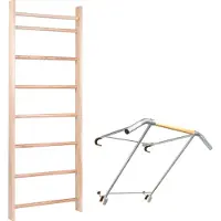 Sport-Thieme Sprossenwand mit Klimmzugbügel "Profi", Sprossenwand 210x80 cm