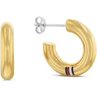 Tommy Hilfiger 2780949 Ohrringe