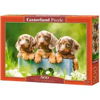 Castorland 500 Piece Jigsaw Puzzles, Cute Dachshunds, Animal Puzzle, Dogs, Puppies, Adult Puzzle, B-53605
