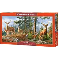 Castorland C-400317-2, 4000 Stück(e), Tiere, 9 Jahr(e)