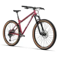 Bombtrack Mountainbike Cale GX Eagle | Größe L (29")