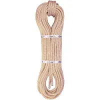 BEAL Access 10.5 Mm Seil