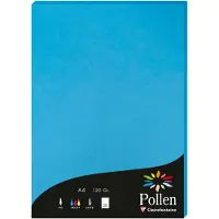 Pollen Papier