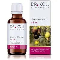 Dr. Koll Biopharm GmbH Gemmo-Mazerat Olive Dr.Koll Olea europaea Tropfen 50 ml