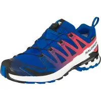 Salomon - Traillaufschuhe in GORE-TEX - XA Pro 3D V9 GTX Equipe Surf W/Fir - Größe 45 1/3 - Blau