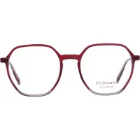 Ana Hickmann Brille HI6225 H03 50