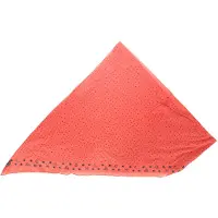 Buff Nahtlose Bandana leicht und kompakt Modell 27800 unisex