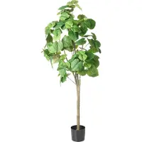 Beliani Ficus Tree