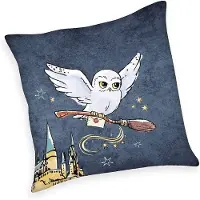 Herding Dekokissen Harry Potter Motiv 1