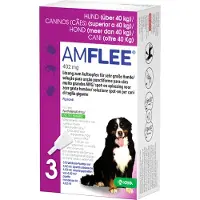 TAD Pharma GmbH Geschäftsbereich Veterinärmedizin Amflee 402 mg Spot-on Lsg.f.sehr gr.Hunde 40-60kg 3 St