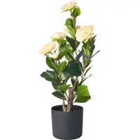 Beliani Camellia