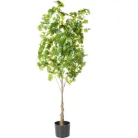 Beliani Ginkgo Tree
