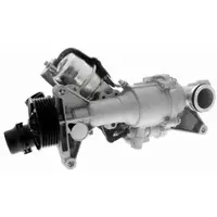 VAICO Wasserpumpe Green Mobility Parts V30-50101