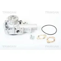 TRISCAN Wasserpumpe 8600 10935