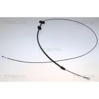 TRISCAN Seilzug, Feststellbremse 8140 231181